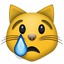 Crying Cat Face Emoji 1f63f