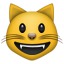 Smiling Cat Face With Open Mouth Emoji 1f63a