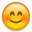 Smiling Face With Smiling Eyes Emoji 1f60a