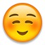 White Smiling Face Emoji 263a