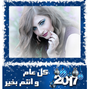New_year_frame_2017 photo effect