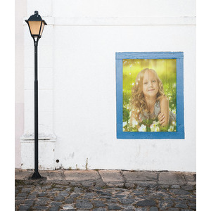 Your Picture On A Window In The Street And Green Plants photo effect