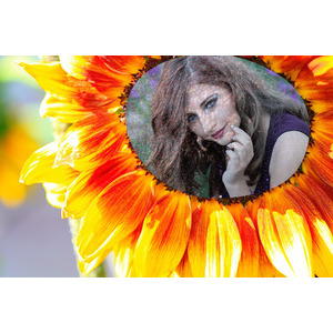 Your Picture On Sunflower 889 photo effect
