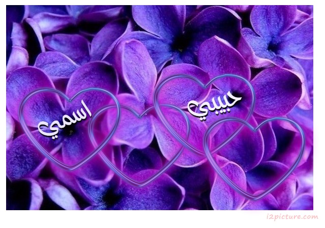 Purple Flowers Postcard