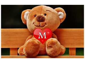 Your name on a teddy bear on a bench