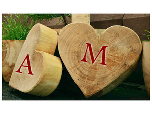 Your lover's name on the hearts of wood