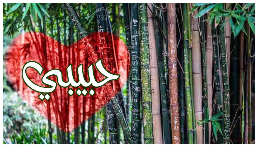 Your Lover's Name On The Bamboo Postcard