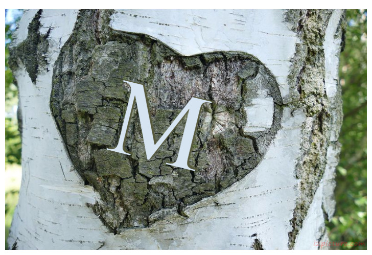 Your Name And Your Lover At The Heart Of Wood 8694 Postcard