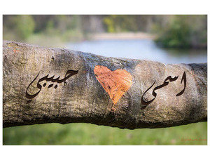 Your name and your lover at the heart of the wood is carved on a branch