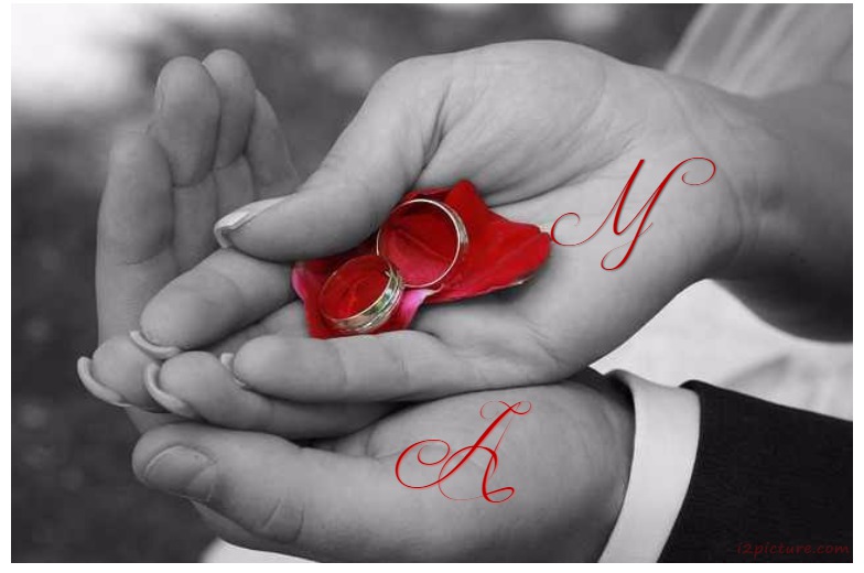 Your Lover's Name On The Hand And A Red Rose Postcard