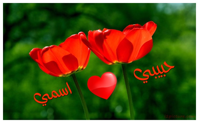 Love Flower Garden Postcard