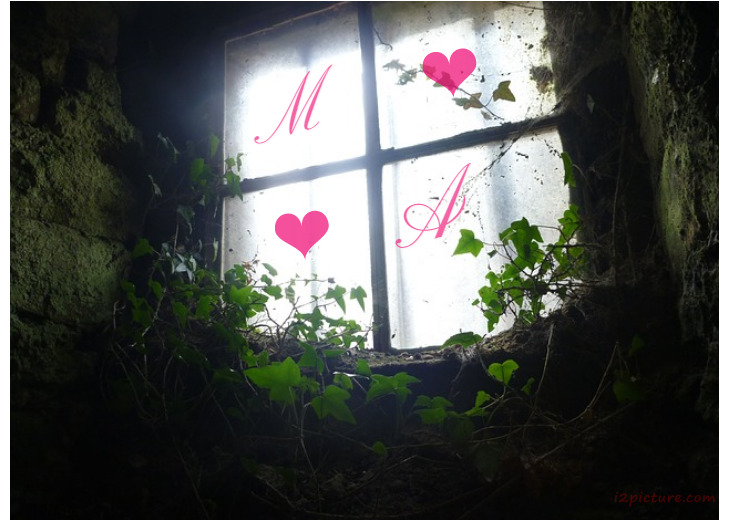 Your Lover's Name On The Window And A Green Leaf Postcard