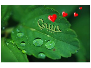 Your lover's name on a leaf and dew drops