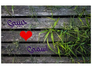 Your name and your lover on wood and plants
