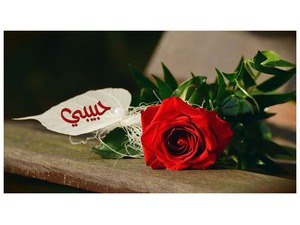 Your name and your lover on a red flower white paper 88