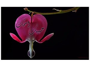Your lover's name on the Rose heart-shaped