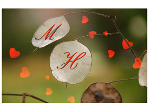 Name your lover on white leaves in the the garden