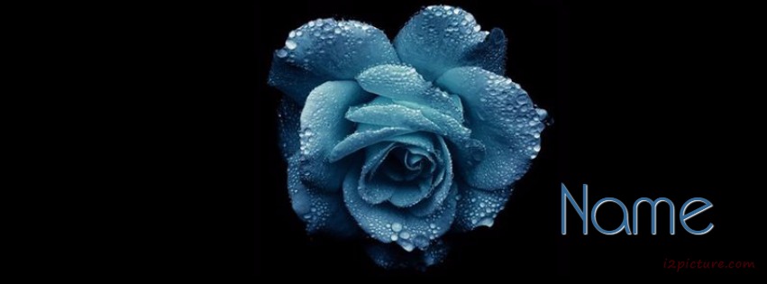 Blue Flower Facebook Cover