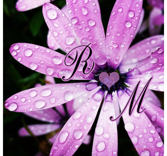 Type Your Lover On A Flower Violet With Dew Drops Postcard