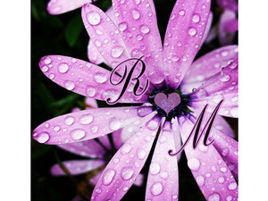 Type your lover on a flower Violet with dew drops