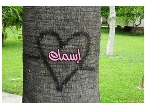 Heart painted on a tree trunk