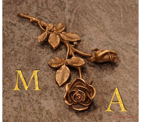 Your Name On The Rose Of Bronze Postcard