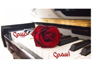 Piano with red rose