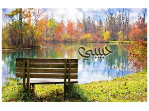 Your lover's name on a bench in the park