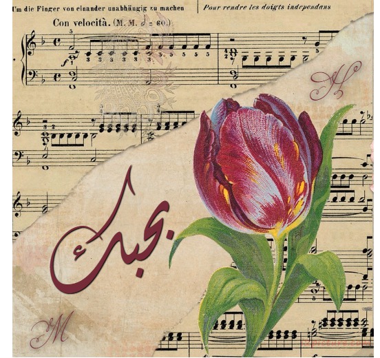 Type Your Lover's Name On A Musical Note And A Flower Violets Postcard