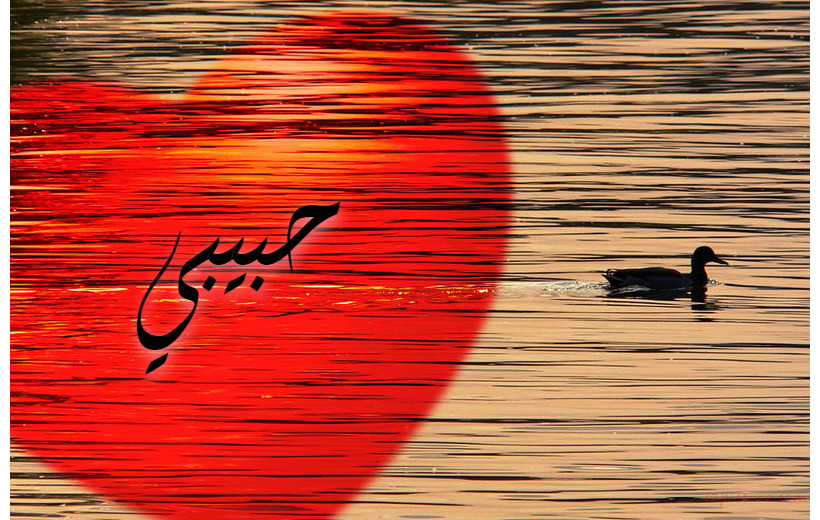 Your Lover's Name On The Heart Of A Large Central Lake Postcard