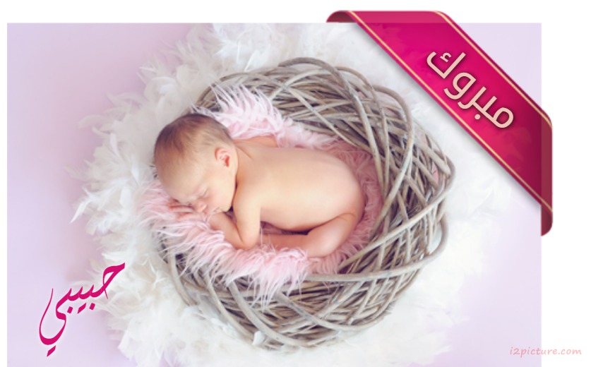 Congratulation The Newborn Inside The Nest Postcard
