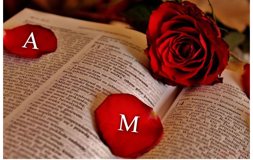 Your Lover's Name On The Book And A Rose Postcard