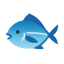 Fish u1f41f Icon 64 x 64