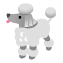 Poodle u1f429 Icon 128 x 128