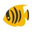 Tropical Fish u1f420 Icon 64 x 64