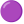 Purple Circle u1f7e3 Icon 24 x 24