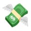 Money With Wings u1f4b8 Icon 64 x 64