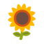 Sunflower u1f33b Icon 64 x 64