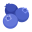 Blueberries u1fad0 Icon 64 x 64