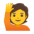 Happy Person Raising One Hand u1f64b Icon 48 x 48