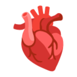 Anatomical Heart u1fac0 Icon 256 x 256