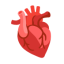 Anatomical Heart u1fac0 Icon 64 x 64