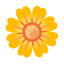 Blossom u1f33c Icon 64 x 64