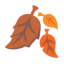 Fallen Leaf u1f342 Icon 64 x 64