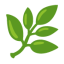 Herb u1f33f Icon 64 x 64