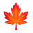 Maple Leaf u1f341 Icon 48 x 48
