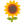 Sunflower u1f33b Icon 24 x 24