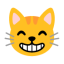 Grinning Cat Face With Smiling Eyes u1f638 Icon 64 x 64