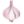 Garlic u1f9c4 Icon 24 x 24