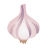 Garlic u1f9c4 Icon 48 x 48